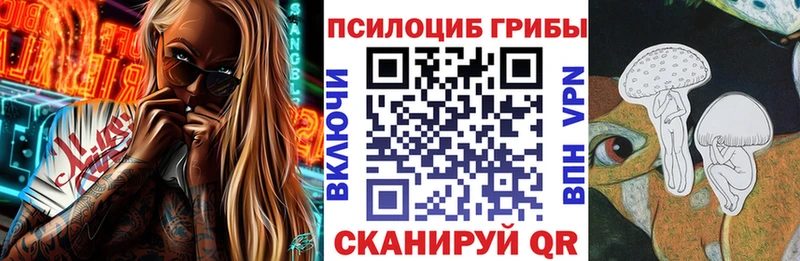Псилоцибиновые грибы мицелий  наркота  Котельнич 